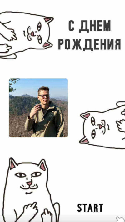 Digital открытка: Meme Cat