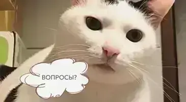 Интерактивность