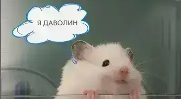 Эмоции и чувства