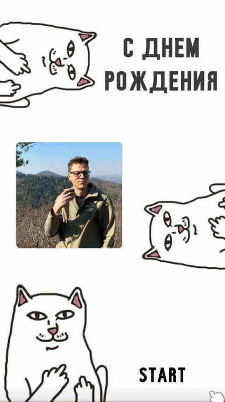 Meme Cat — пример дизайна